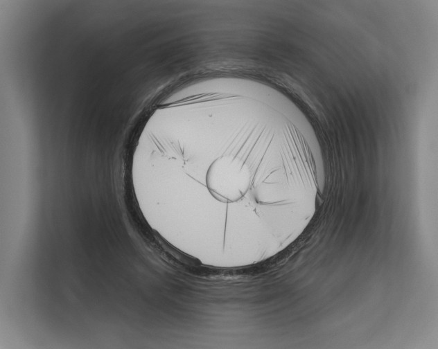 X0000111810448200909031434