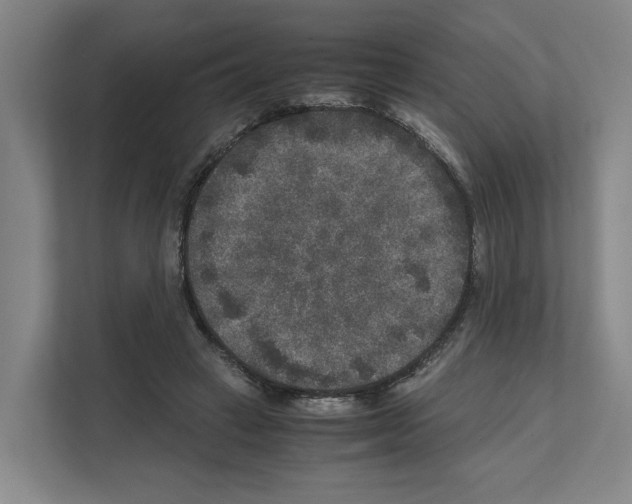 X0000111810449200909031434