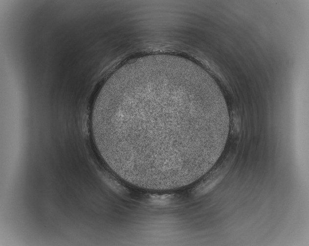 X0000111810450200909031434