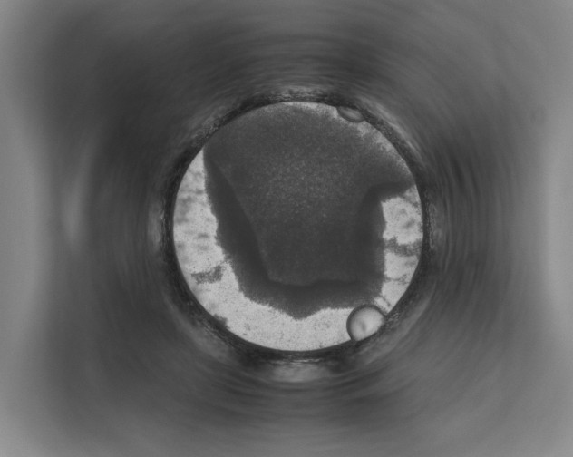 X0000111810451200909031434