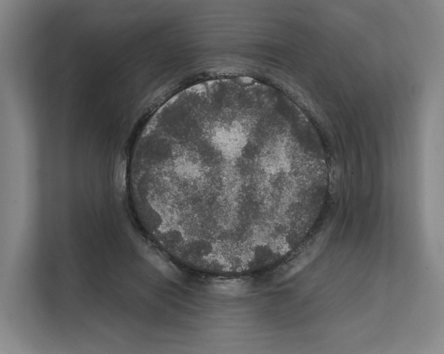 X0000111810454200909031434