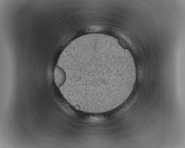 X0000111810455200909031434
