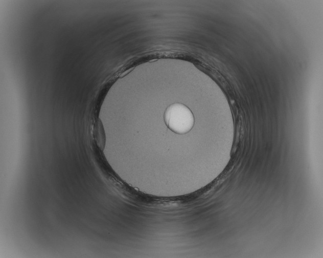 X0000111810456200909031434