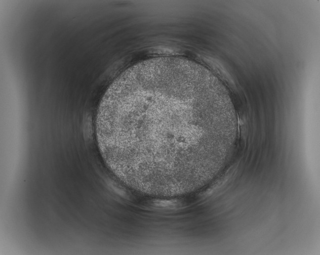 X0000111810457200909031434