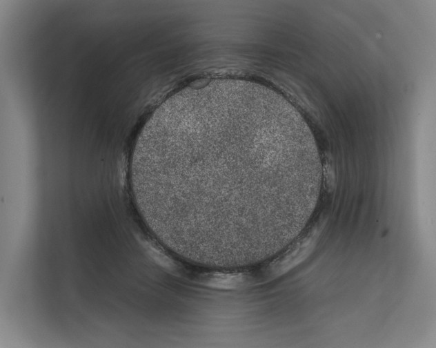 X0000111810458200909031434