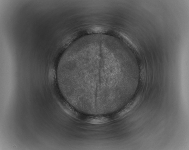 X0000111810459200909031434