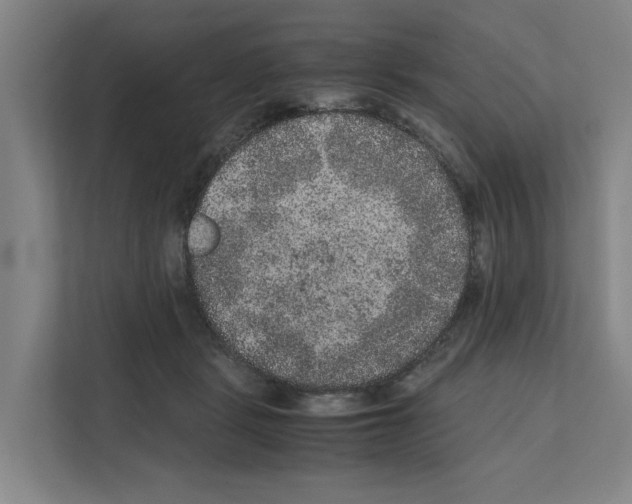 X0000111810461200909031434