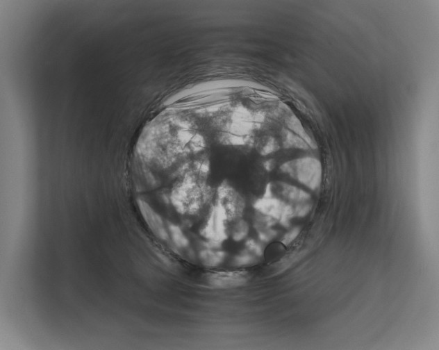 X0000111810465200909031434