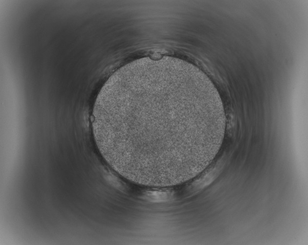 X0000111810466200909031434