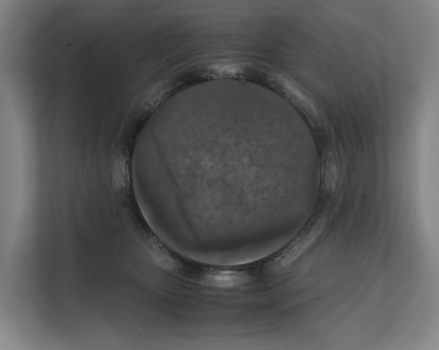 X0000111810467200909031434
