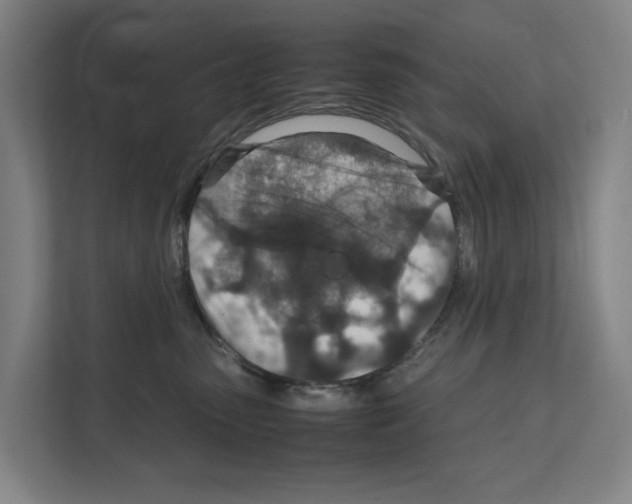 X0000111810475200909031434