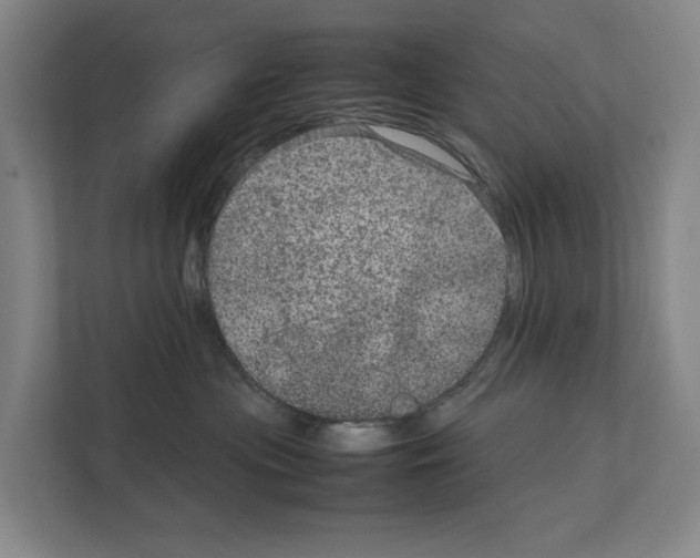 X0000111810477200909031434