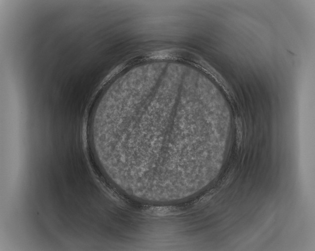 X0000111810482200909031433
