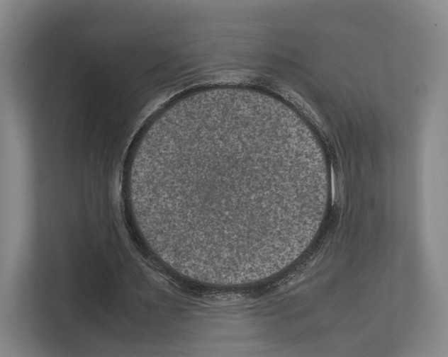 X0000111810483200909031433