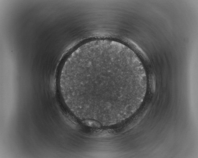 X0000111810488200909031433