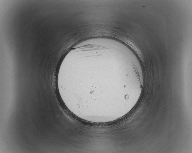 X0000111810489200909031433
