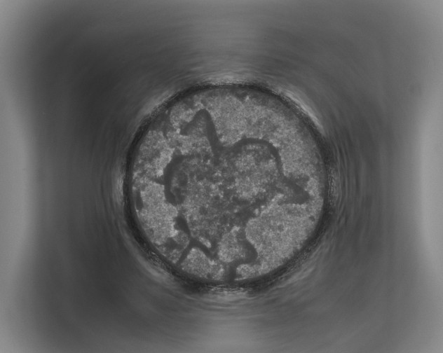 X0000111810491200909031433