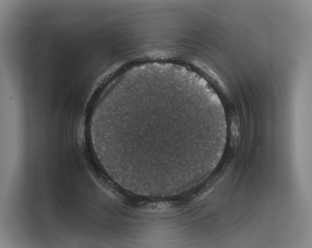 X0000111810492200909031433