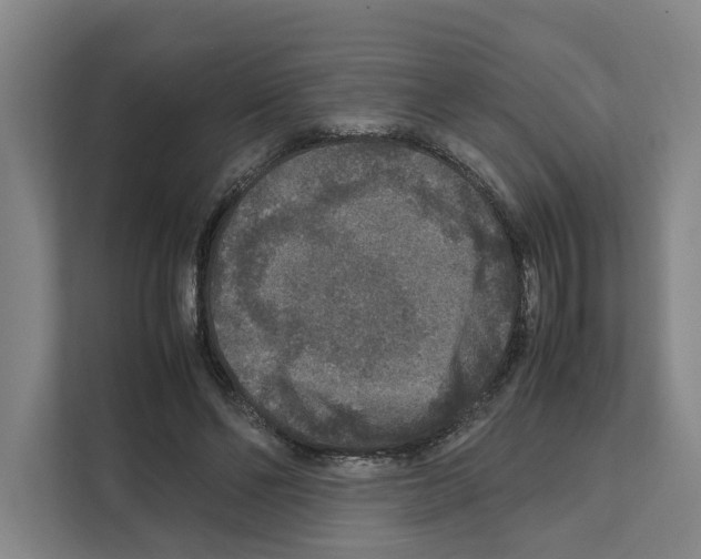X0000111810494200909031433
