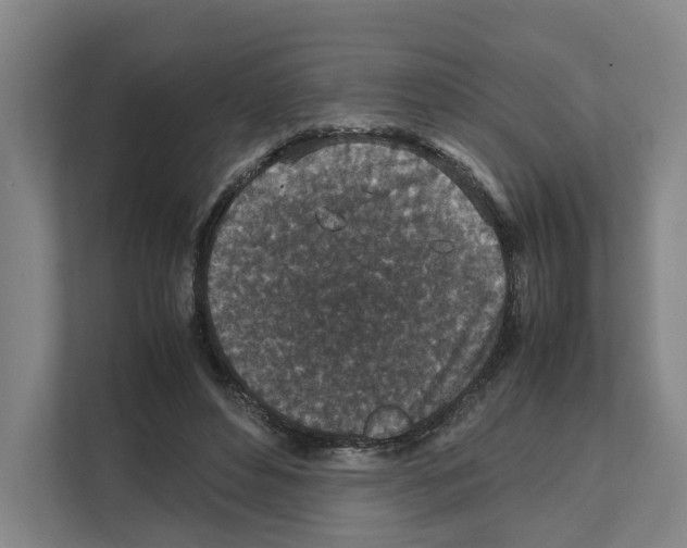 X0000111810496200909031433