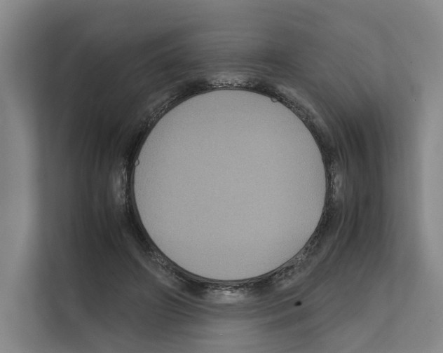 X0000111810498200909031433