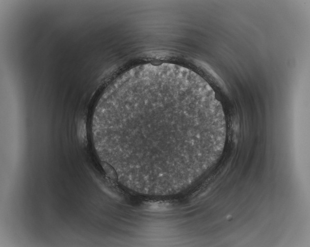 X0000111810500200909031433
