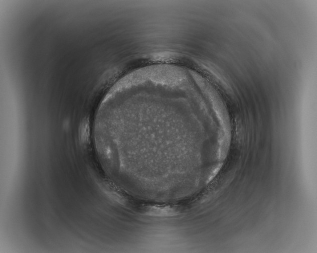 X0000111810502200909031433