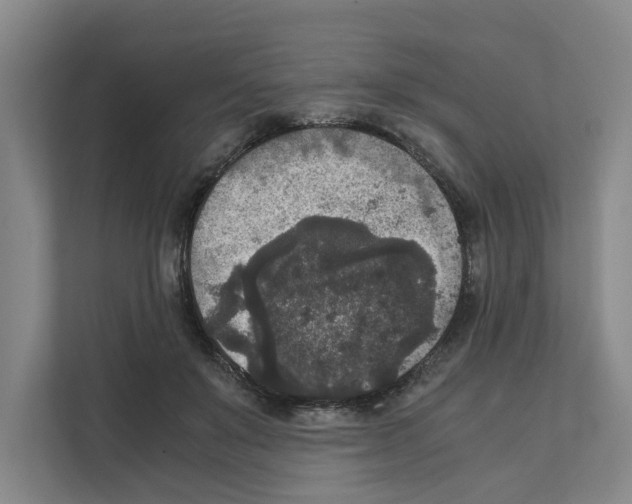 X0000111810503200909031433