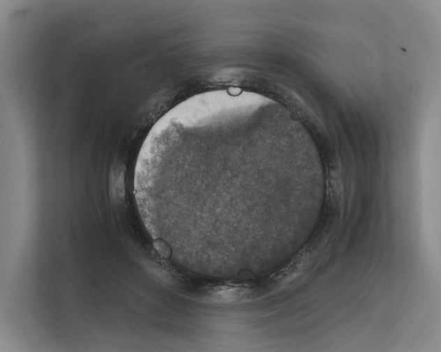 X0000111810504200909031433