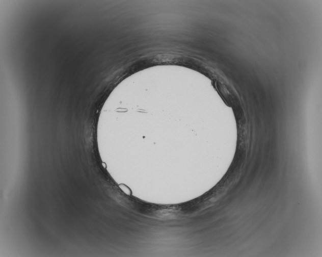 X0000111810505200909031433