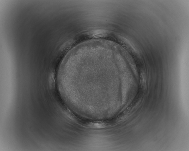 X0000111810506200909031433