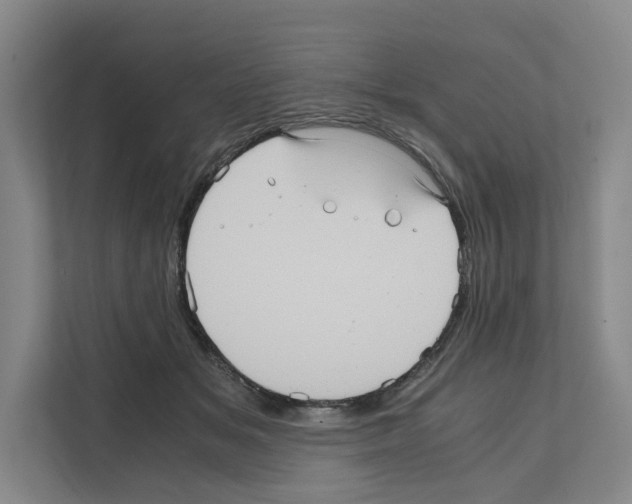 X0000111810509200909031433