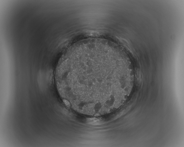 X0000111810511200909031433
