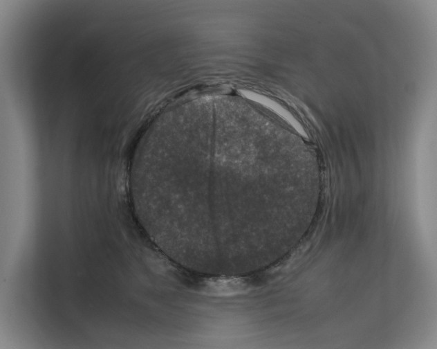 X0000111810517200909031433