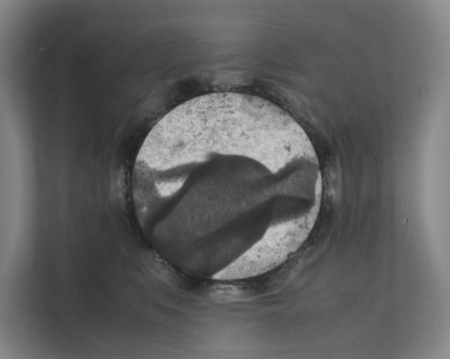 X0000111810519200909031433