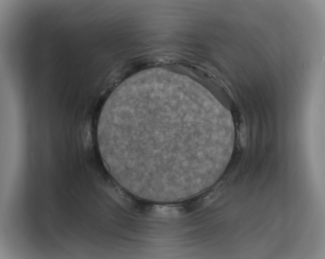 X0000111810520200909031433