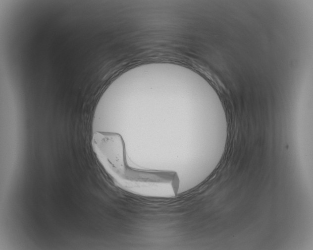 X0000111810521200909031433