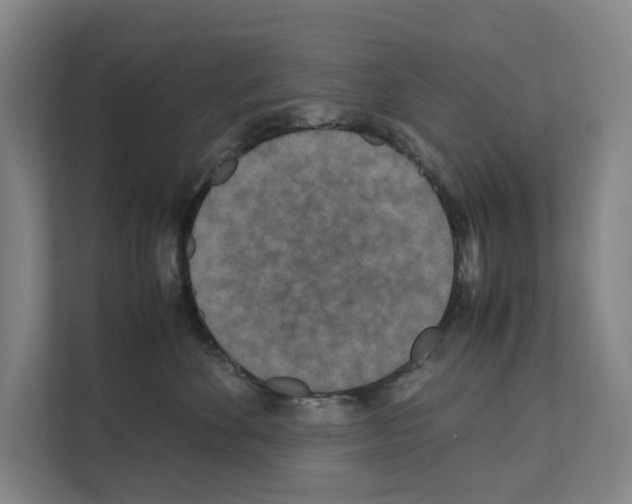 X0000111810524200909031433