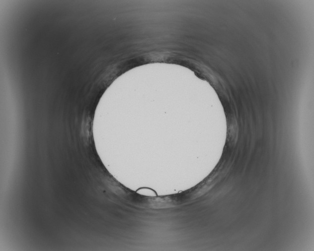 X0000111810525200909031433