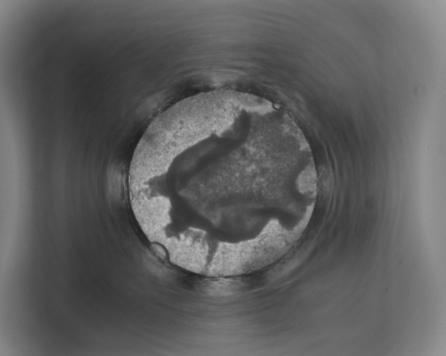 X0000111810527200909031433