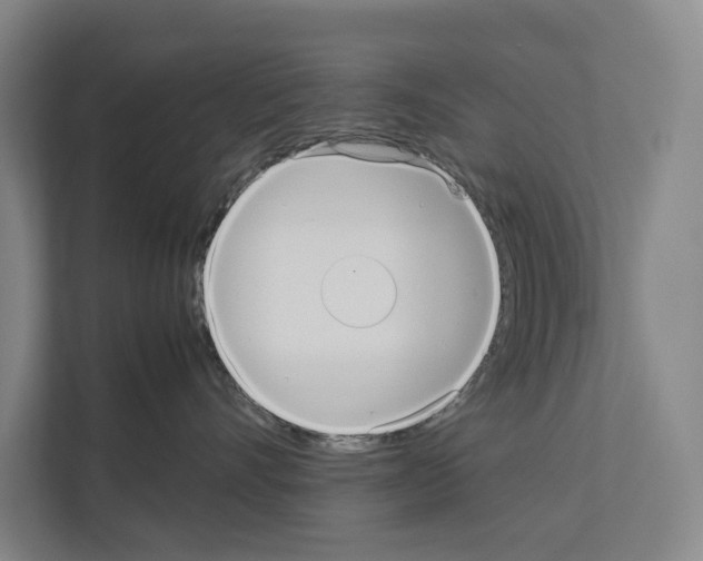 X0000111810528200909031433
