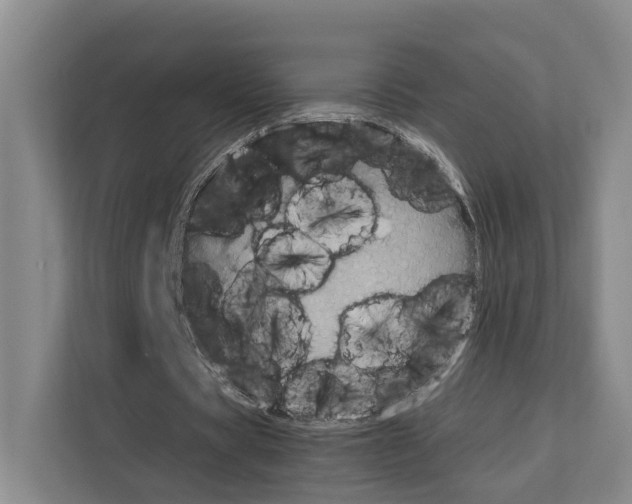 X0000111810529200909031432