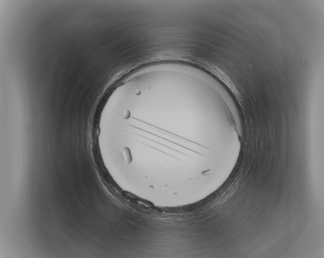 X0000111810530200909031432