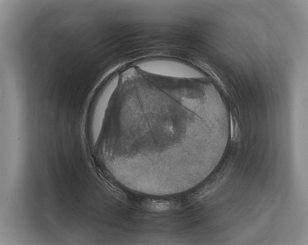X0000111810531200909031432