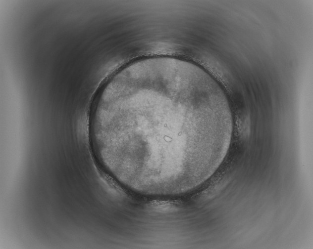 X0000111810534200909031432