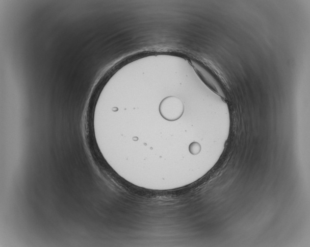 X0000111810536200909031432
