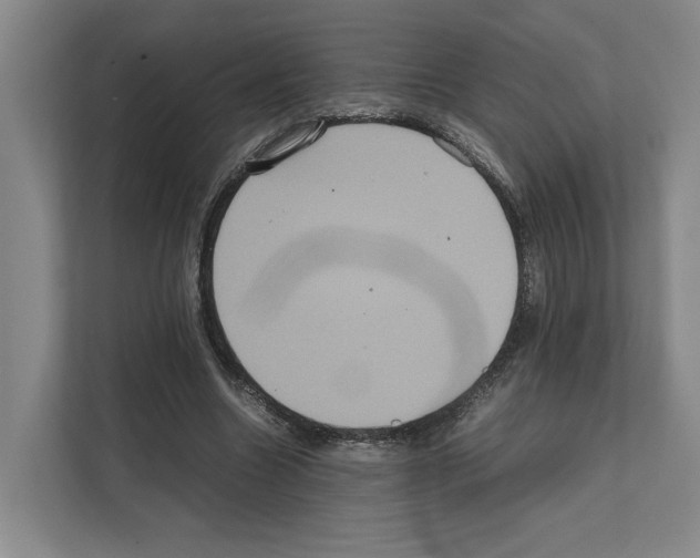 X0000111810538200909031432