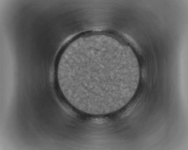 X0000111810540200909031432