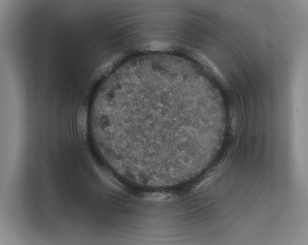 X0000111810542200909031432
