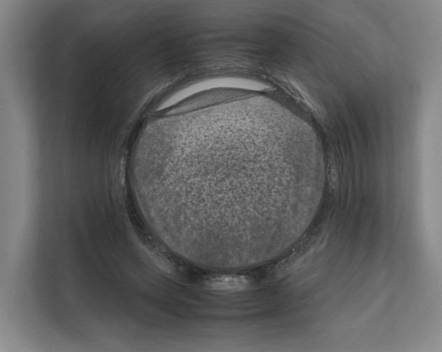 X0000111810543200909031432